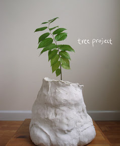 Hiroshi Sunairi: Leur Existence, Tree Project, NY