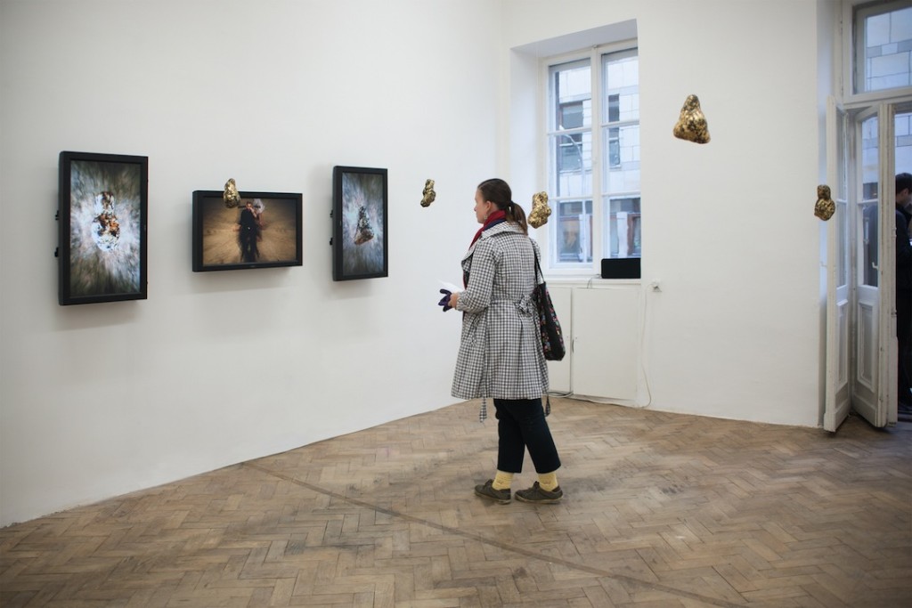 Elisabeth Smolarz, Exhibition installation view, Image courtesy of the artist