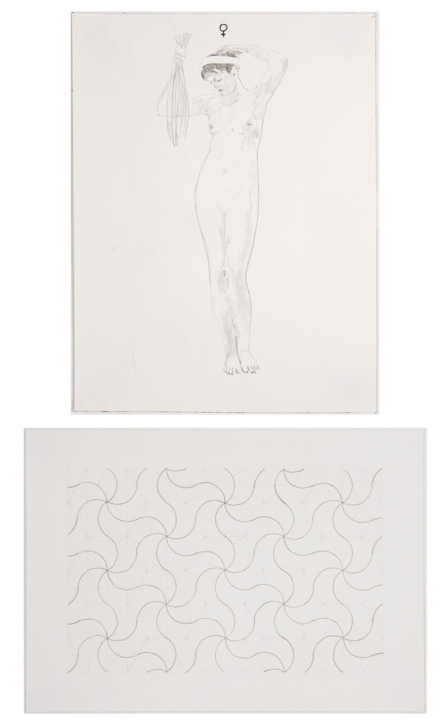 Jesse Bransford, Untitled VI [In Two Parts], Graphite on paper, Curated by Max Razdow and Kari Adelaide, SPRING/BREAK, 2015