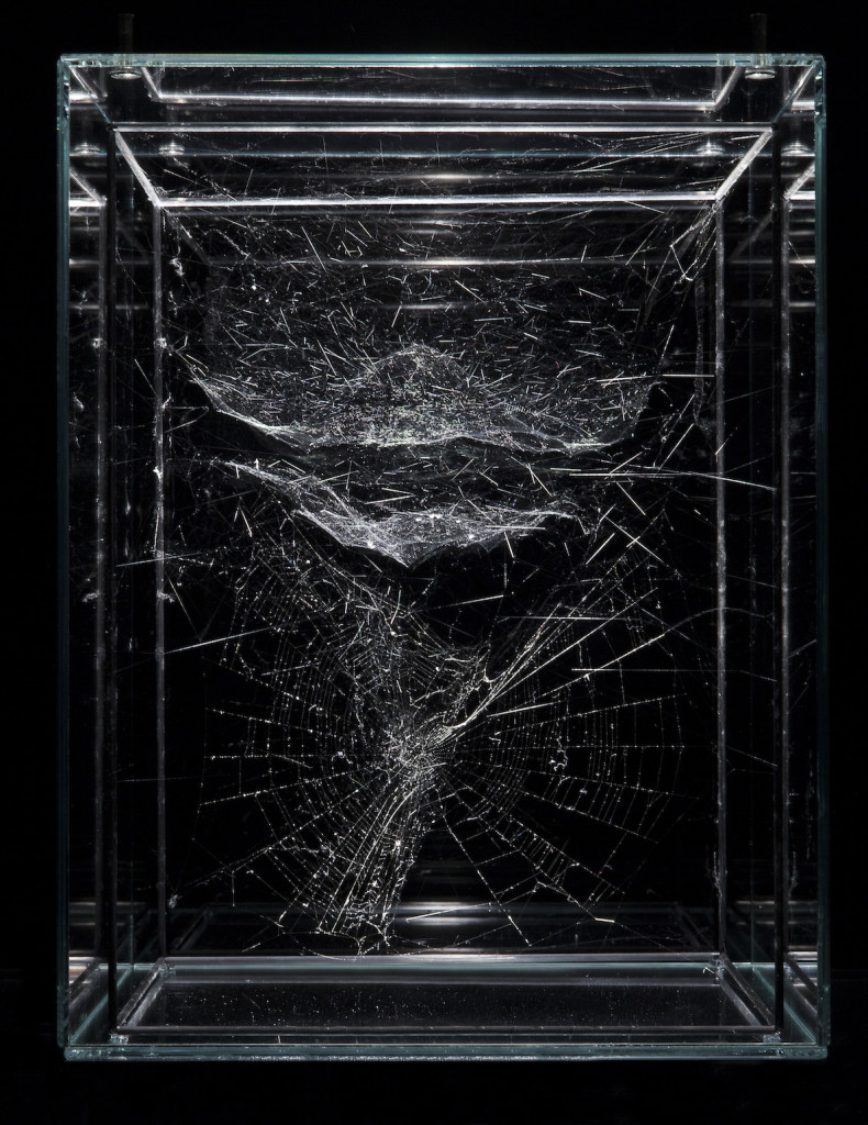 Tomas SARACENO Hybrid solitary semi-social musical instrument Sagitta: built by one Angiope anasuja and a Cyrtophora moluccensis 2015 spidersilk, carbon fibre sticks, glass 12 x 8 7/8 x 8 7/8 inches; 30.5 x 22.5 x 22.5 cm, Photography by Studio Tomás Saraceno, © 2015, Courtesy of Tanya Bonakdar Gallery