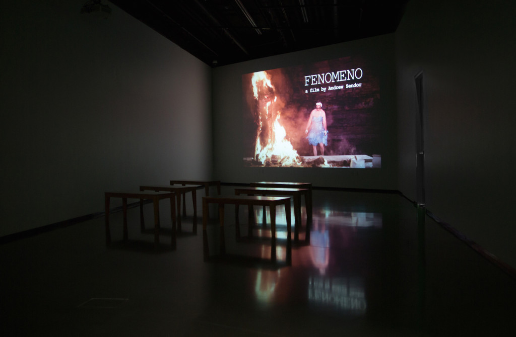 Andrew Sendor, FENOMENO (video, 2014) Installation view, Eli and Edythe Broad Art Museum, MSU, Image courtesy of the artist and Sperone Westwater, 2016